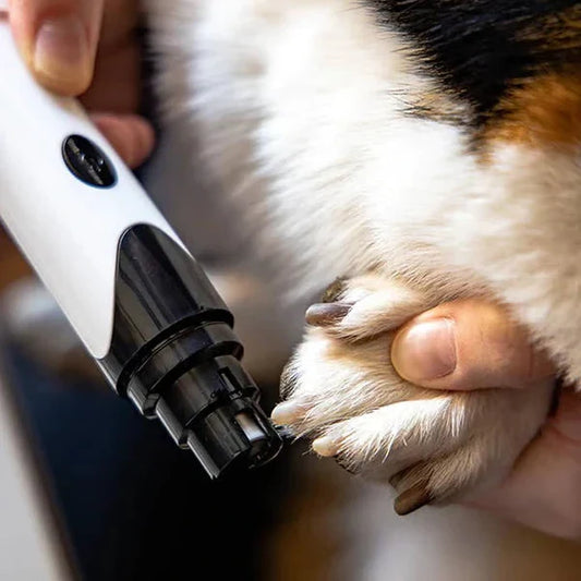 Elektrisk kloslip för hund och katt – säker och tyst nagelvård hemma