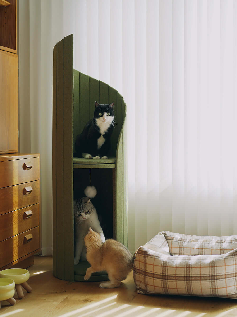 Elegant Cat Tower of Time Tree-6