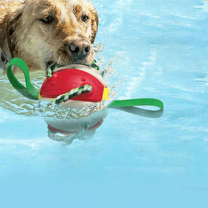 Frisbeeboll - Hundleksak