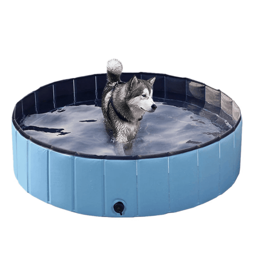 Hundpoolen Vikbar Pop-up pool