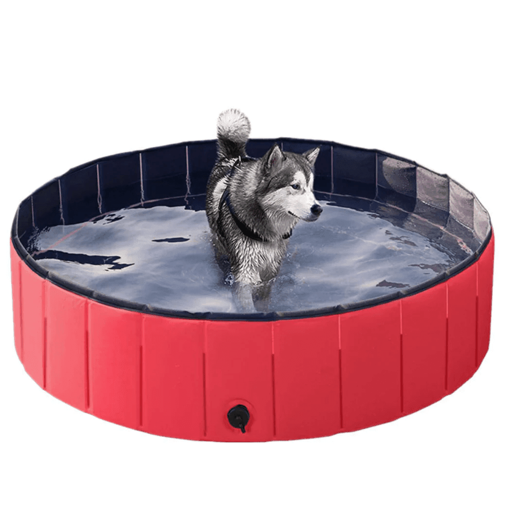 Hundpoolen Vikbar Pop-up pool