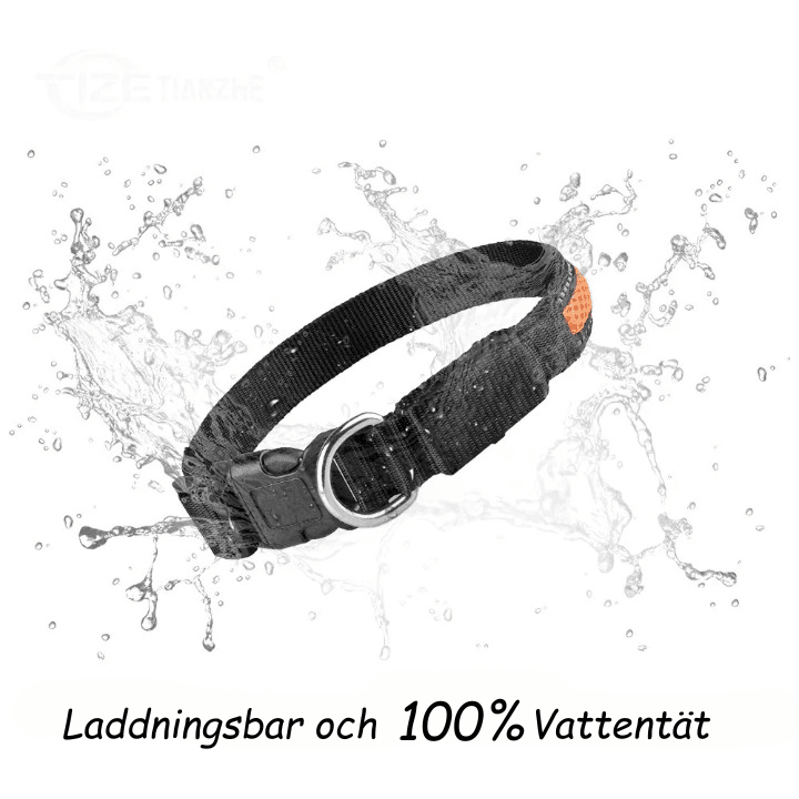 LED Säkerhetshalsband Hund – Synlig i Mörker & Regn