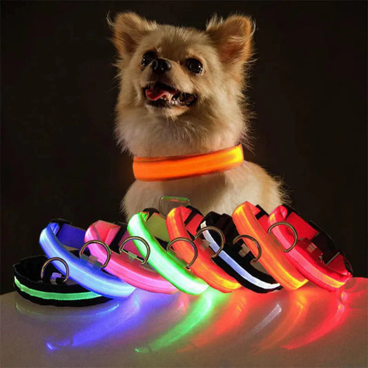 LED Hundhalsband