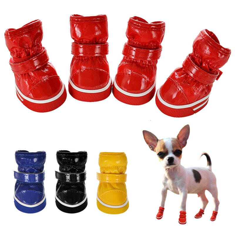 Moonboots för hundar – Vattentäta hundskor för vintern