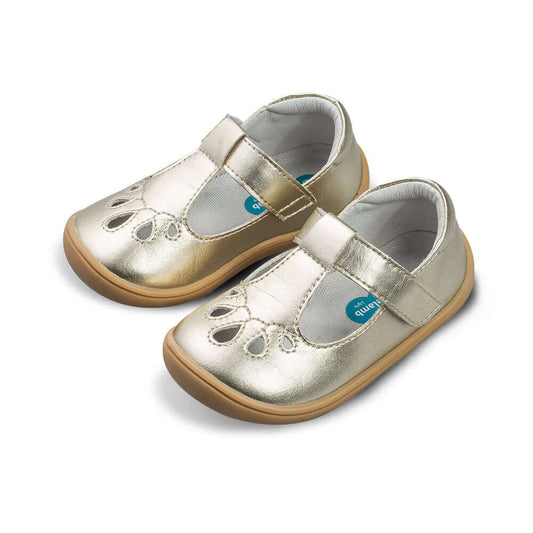 Peacock Dottie Pre-walker Baby Girl Mary Jane Shoes-1