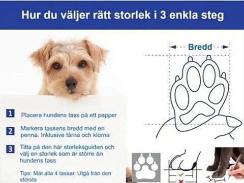 Reflektiva Hundskor - Perfekt till vintern!