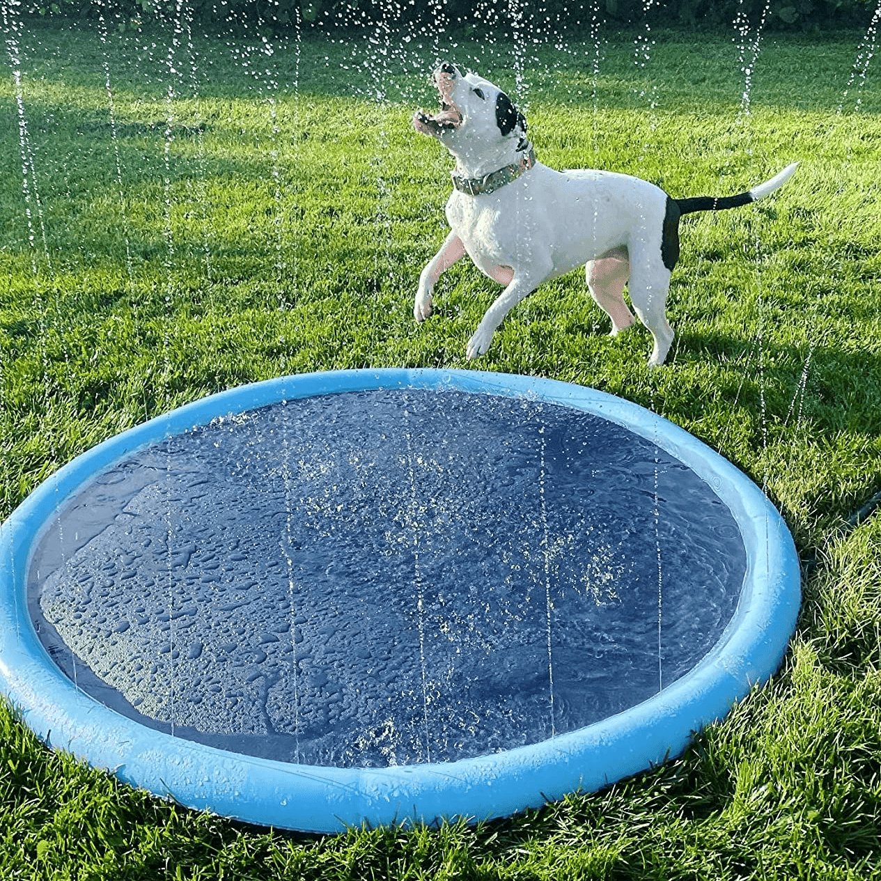 Splashpoolen - Pool med fontän