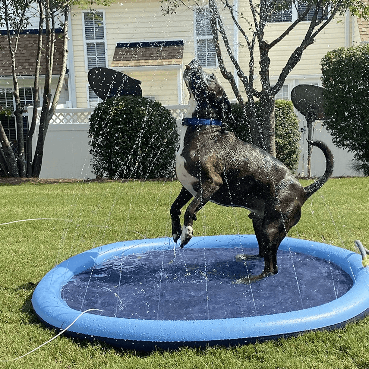 Splashpoolen - Pool med fontän